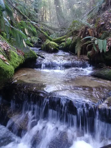 $760,000 | 15528 Highway 49, Camptonville, CA 95922