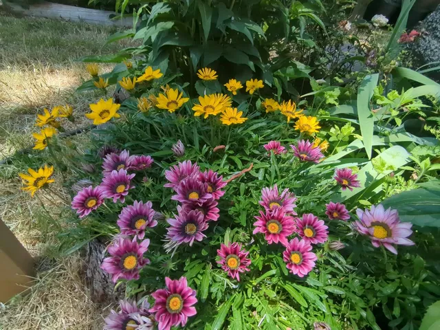 $760,000 | 15528 Highway 49, Camptonville, CA 95922