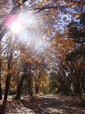 $760,000 | 15528 Highway 49, Camptonville, CA 95922