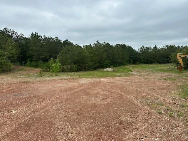 55 Spring Place Road Northeast Cartersville, GA 30121 - Photo 6 of 14 a view of outdoor space with field and trees