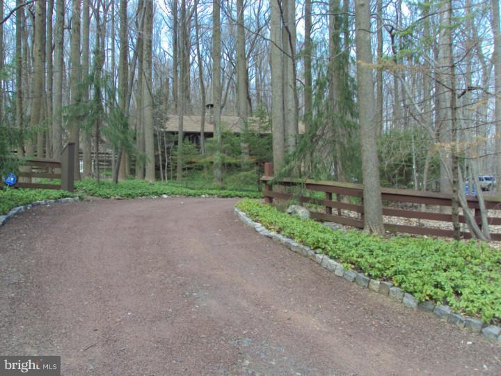 267 Thompson Mill Road Newtown, PA 18940 - Photo 5 of 7 Driveway