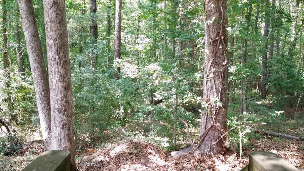 252 Cedar Ridge Anderson, SC 29621 - Photo 5 of 18