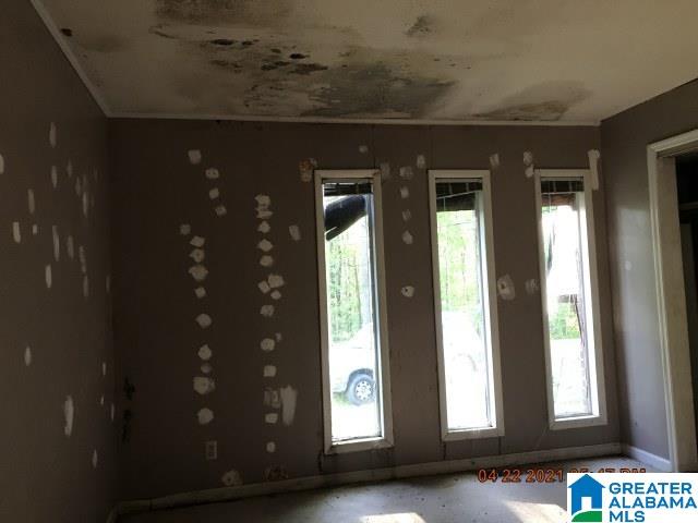 237 James Street Sumiton, AL 35148 - Photo 17 of 45 Gallery Image 17