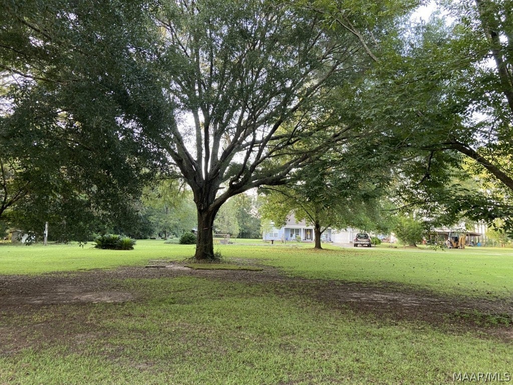 4088 Goose Hollow Road Geneva, AL 36340 - Photo 6 of 37 Gallery Image 6