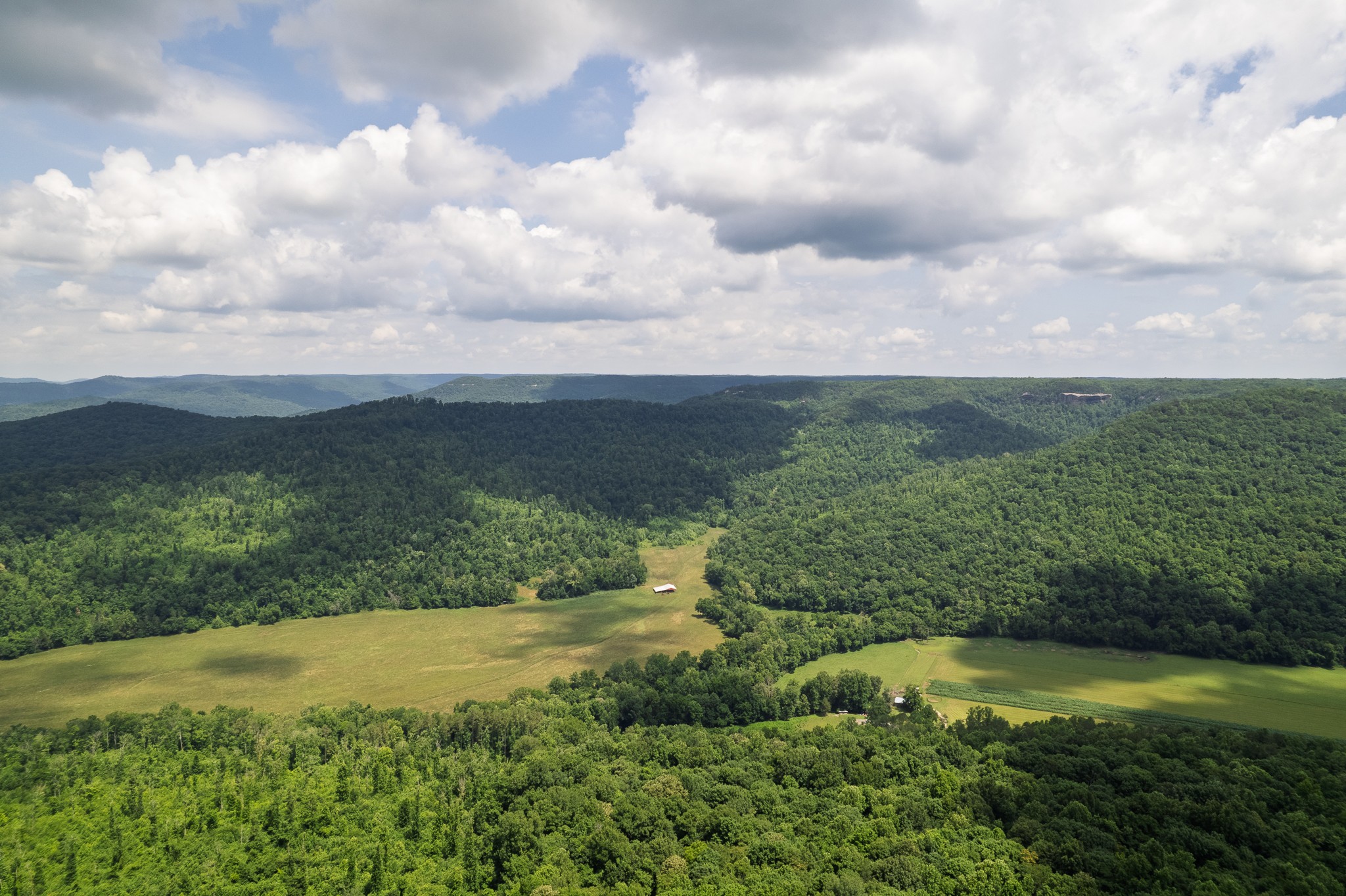 0 Flat Rock Road Jamestown, TN 38556 - Photo 7 of 20
