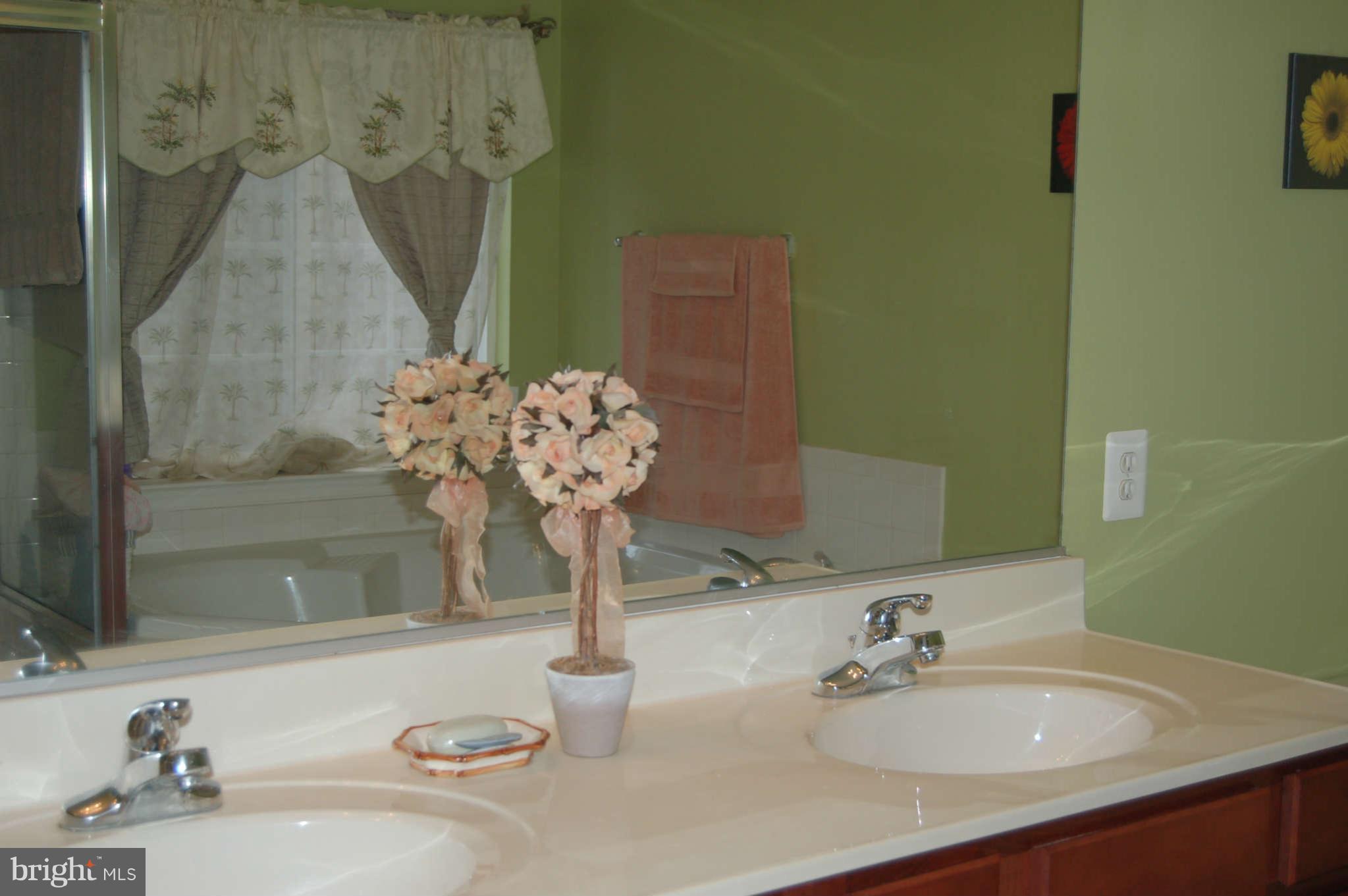 18812 Broken Oak Road Boyds, MD 20841 - Photo 16 of 30 a bathroom with a sink and a mirror