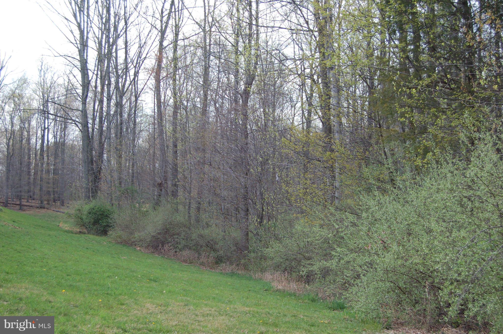 18812 Broken Oak Road Boyds, MD 20841 - Photo 29 of 30 a view of a yard with a trees
