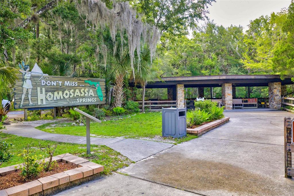 4586 Flambeau Loop Homosassa, FL 34448 - Photo 72 of 80