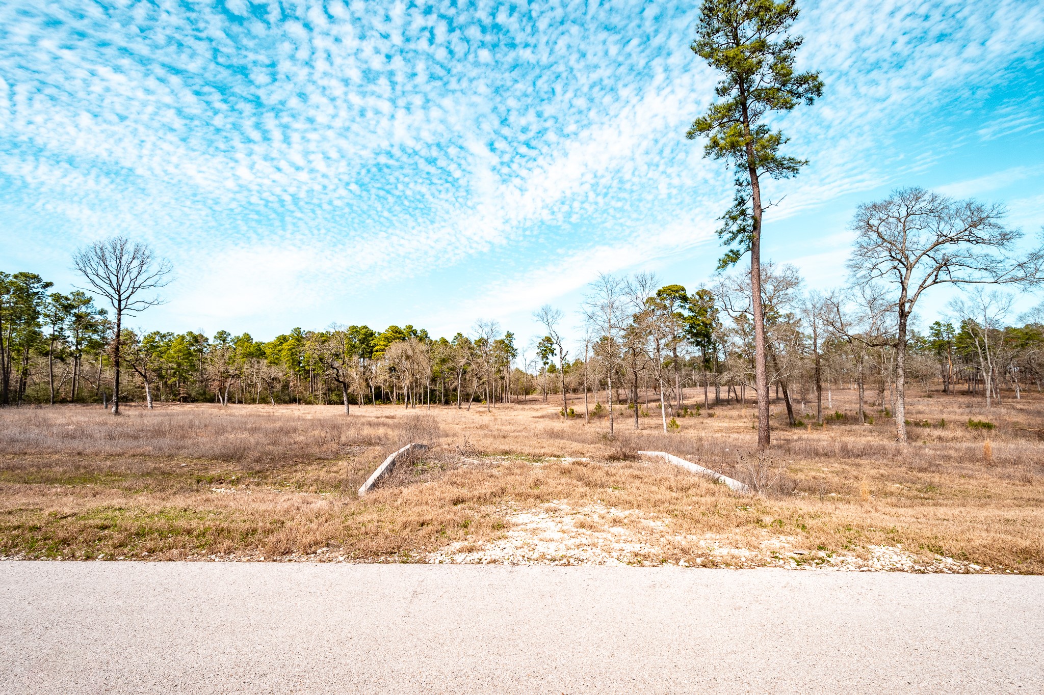 0 Westview Drive Huntsville, TX 77320 - Photo 9 of 12