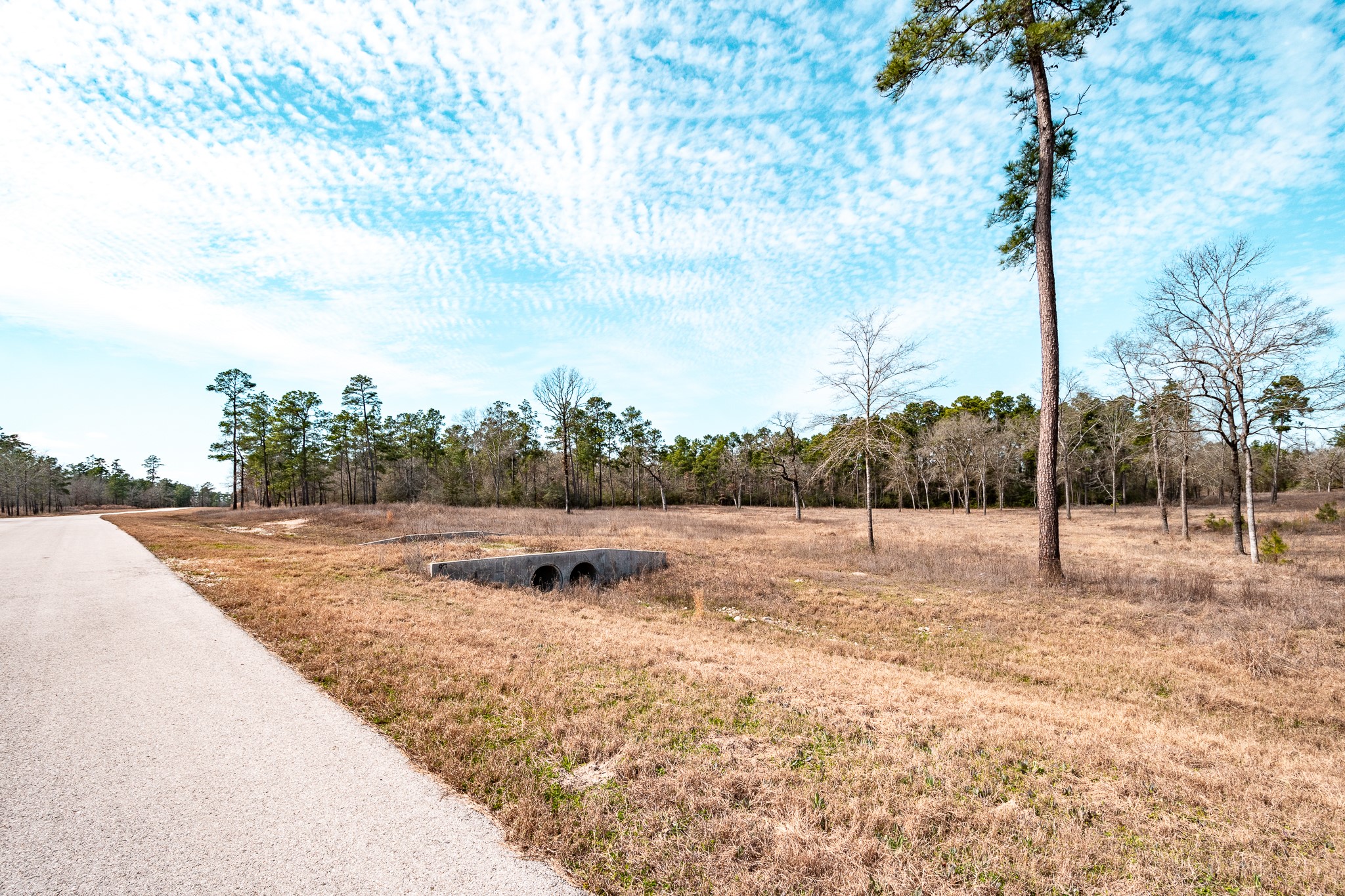 0 Westview Drive Huntsville, TX 77320 - Photo 10 of 12