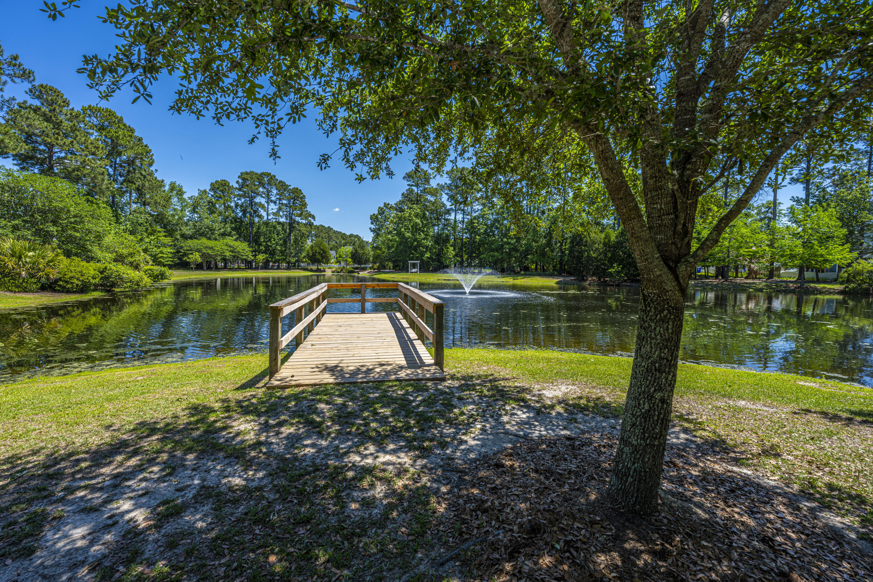 3228 Beaconsfield Road Mount Pleasant, SC 29466 - Photo 33 of 40 DSC_5280