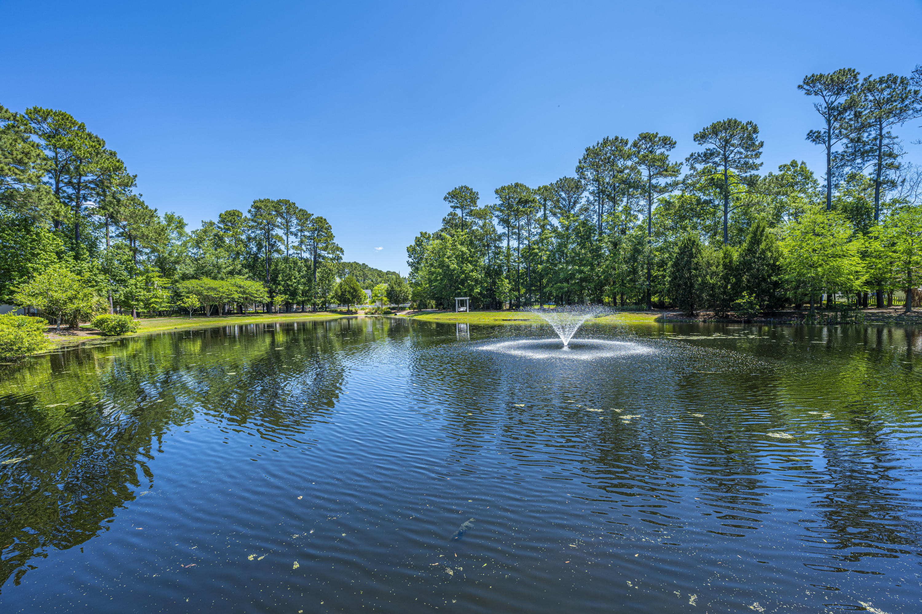 3228 Beaconsfield Road Mount Pleasant, SC 29466 - Photo 34 of 40 Village Pond