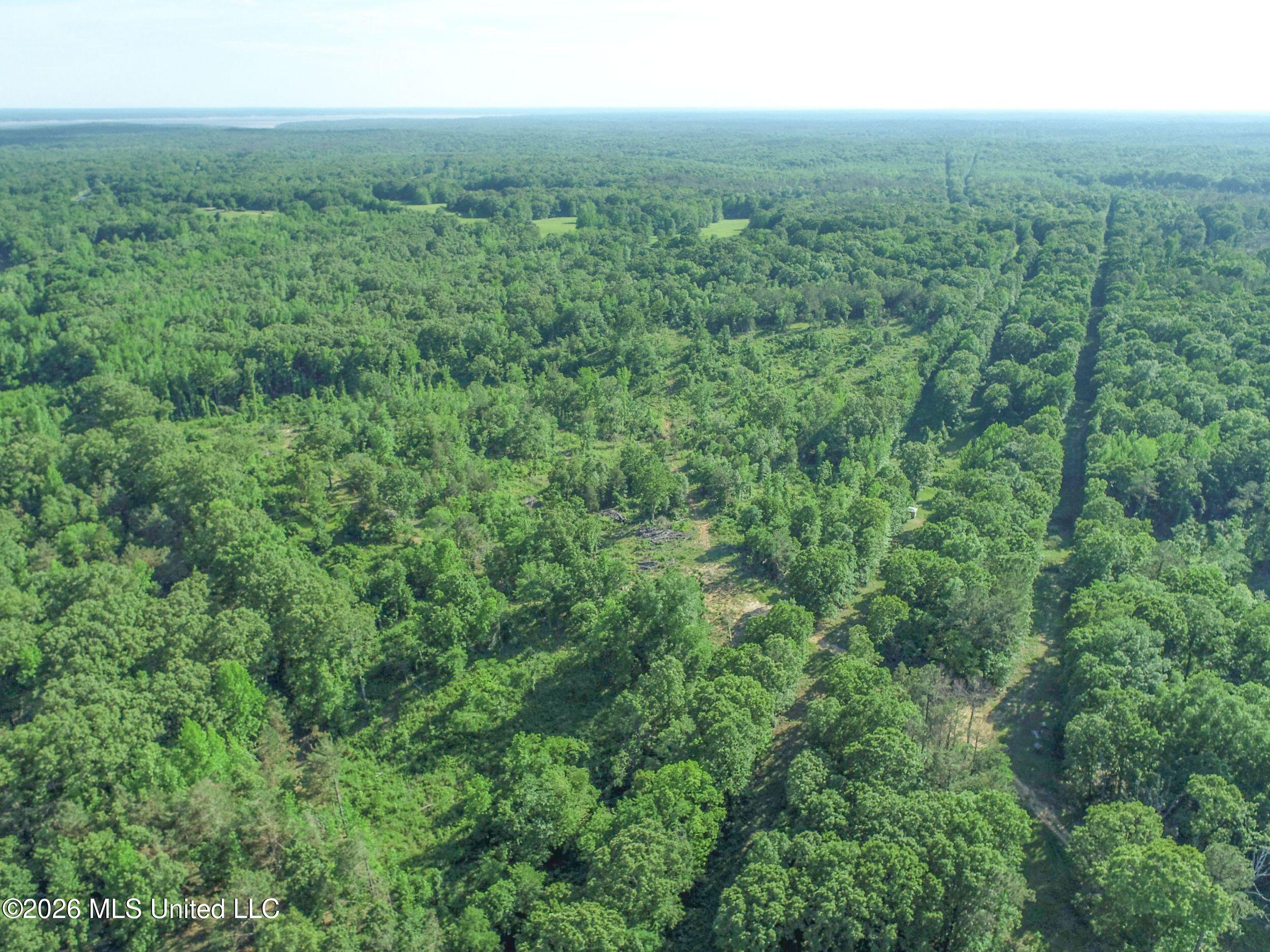 Wayne Massie Road Como, MS 38619 - Photo 53 of 184 3ctwmrd35