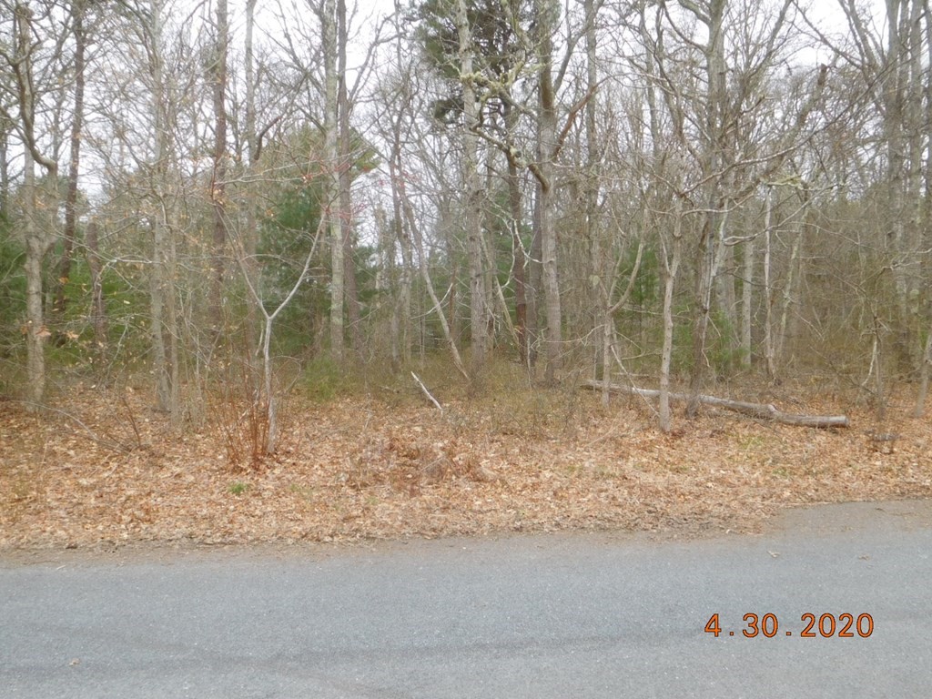 51 Ralyn Road Cotuit, MA 02635 - Photo 1 of 1