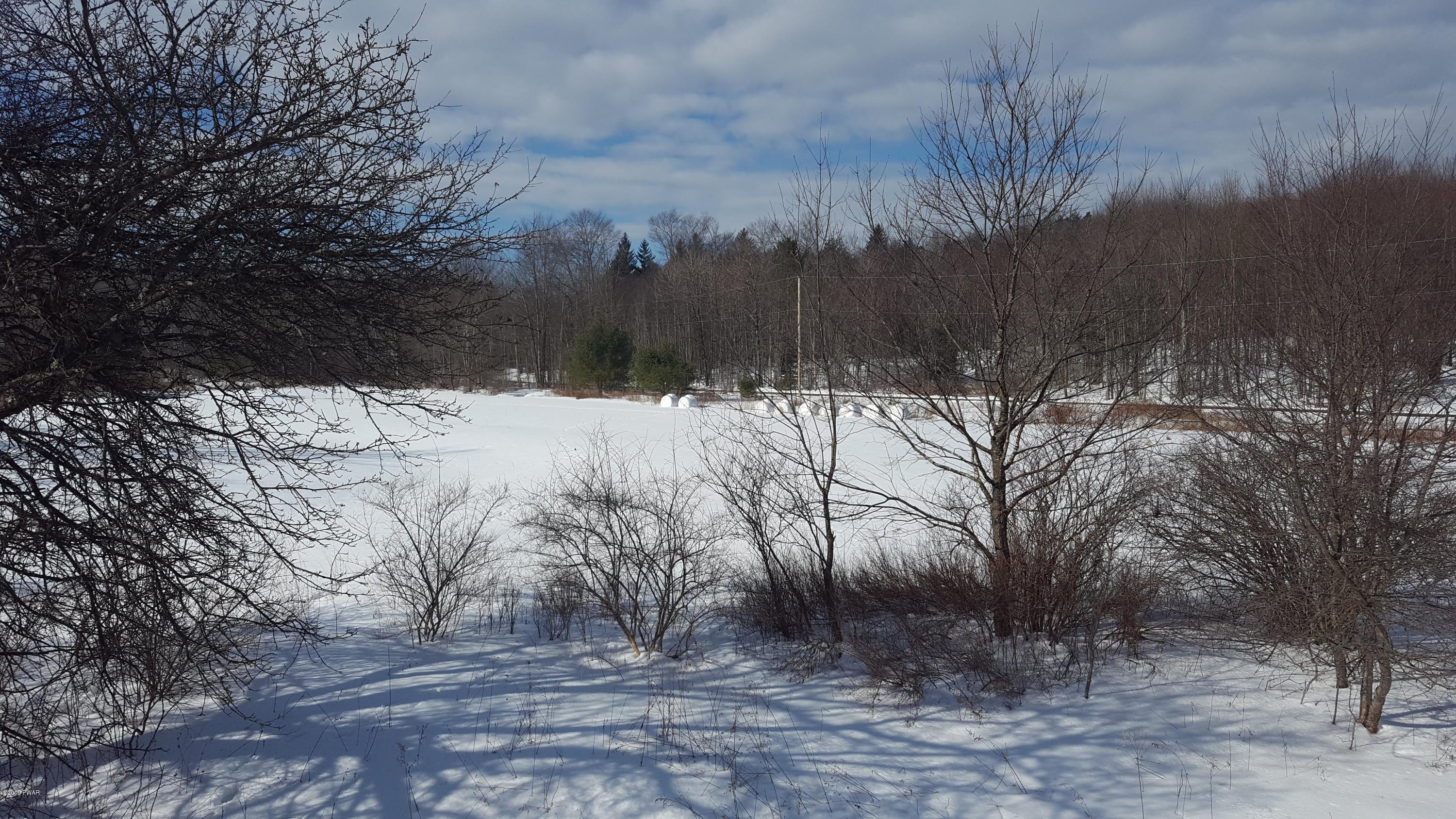 47 Creek Road Equinunk, PA 18417 - Photo 21 of 24 Property view