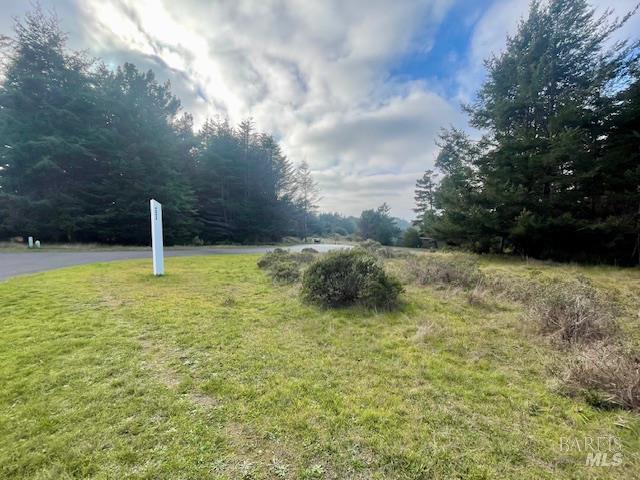 237 Badger The Sea Ranch, CA 95497 - Photo 2 of 18 Quiet, level corner lot at the northern end of the Sea Ranch...distant ocean views from the front of lot.