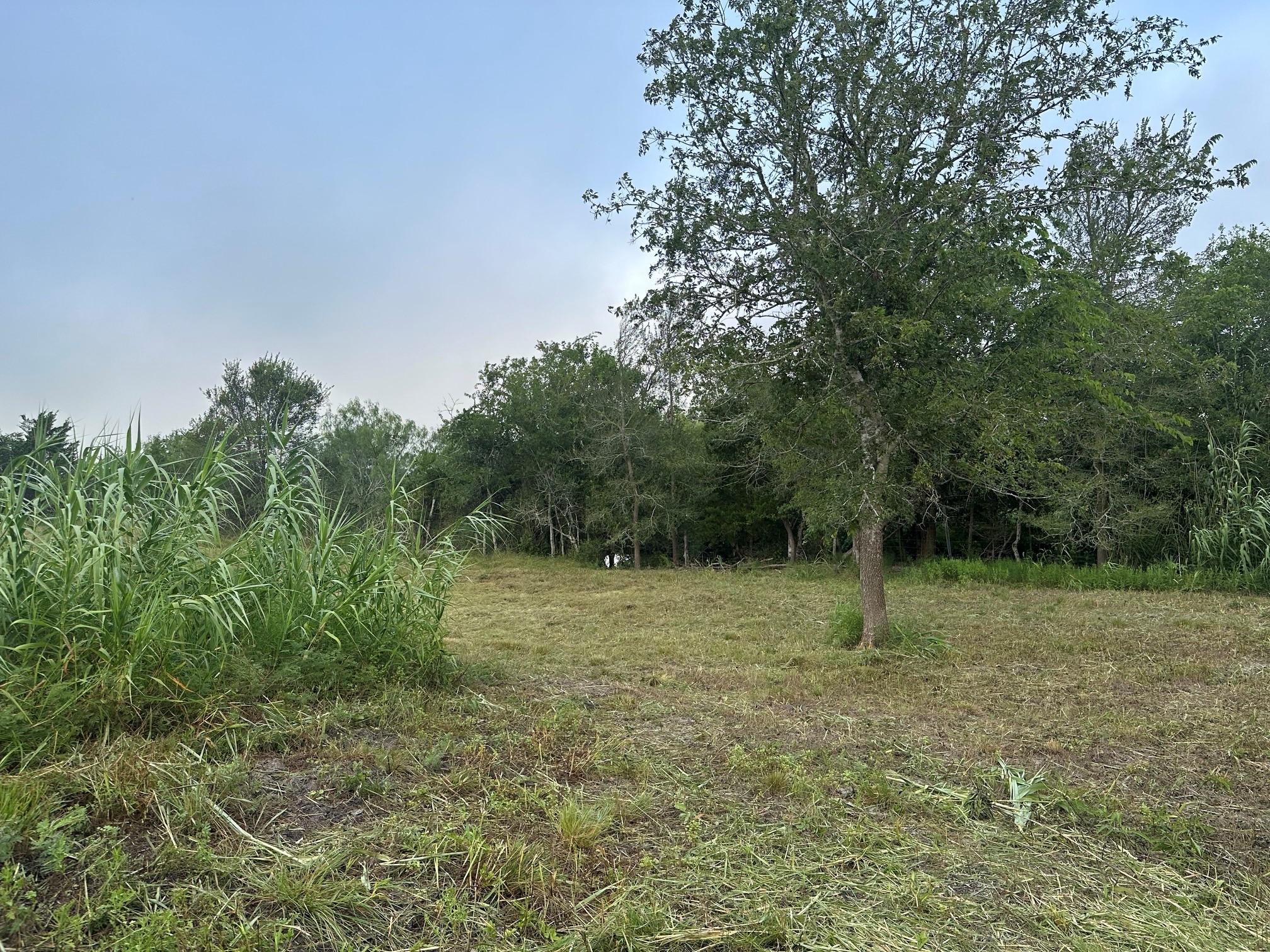 5914 Guettermann Ehler Road Muldoon, TX 78949 - Photo 4 of 11 Gallery Image 4