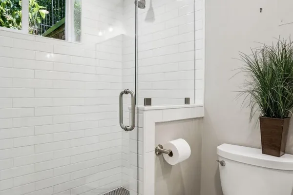 a bathroom with a shower a toilet and potted plant