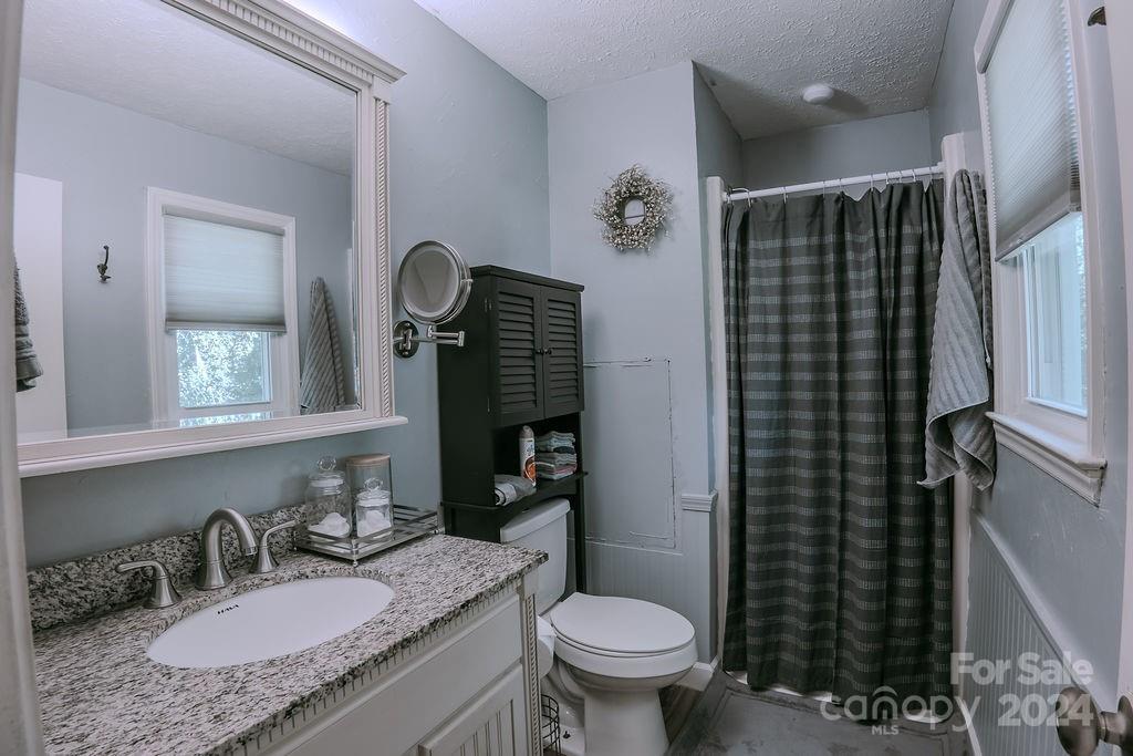 162 Pine Ridge Trail Pinnacle, NC 27043 - Photo 23 of 41 a bathroom with a granite countertop sink toilet and shower
