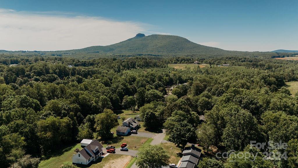 162 Pine Ridge Trail Pinnacle, NC 27043 - Photo 6 of 41 an aerial view of a forest with houses