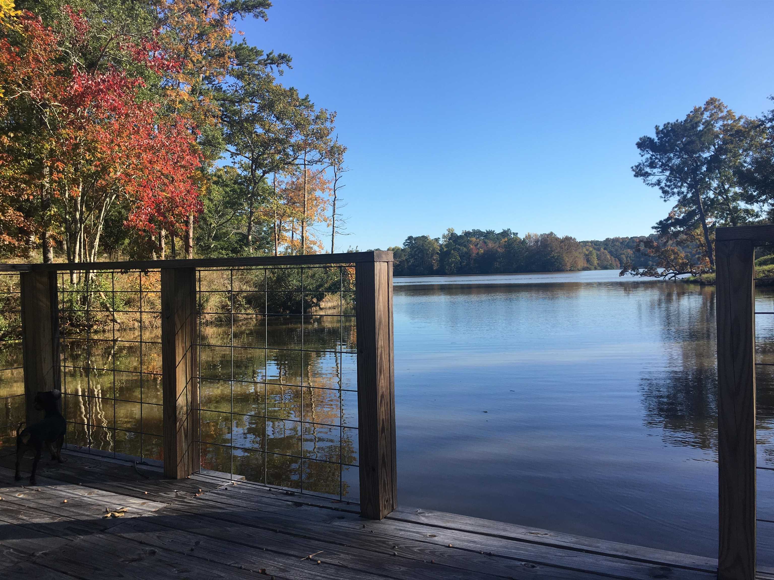 12080 Conecuh Cove Road Andalusia, AL 36421 - Photo 3 of 48 Gallery Image 3