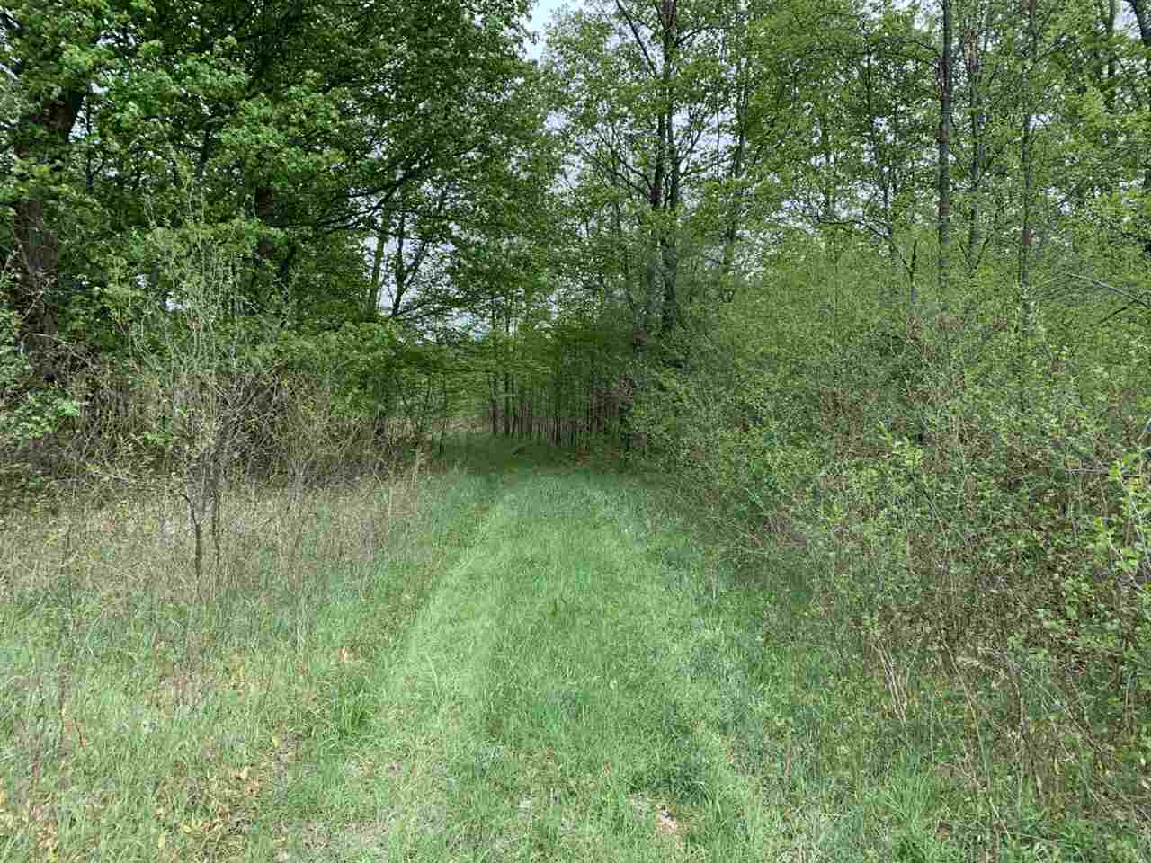 40 South 17 Road Boon, MI 49618 - Photo 8 of 33