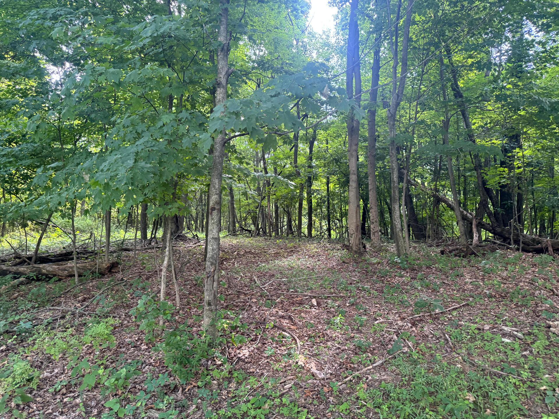 100 Golf Course Road, Unit TRACT 12 SKYLINE ACRES) Waverly, OH 45690 - Photo 40 of 44 CT-40
