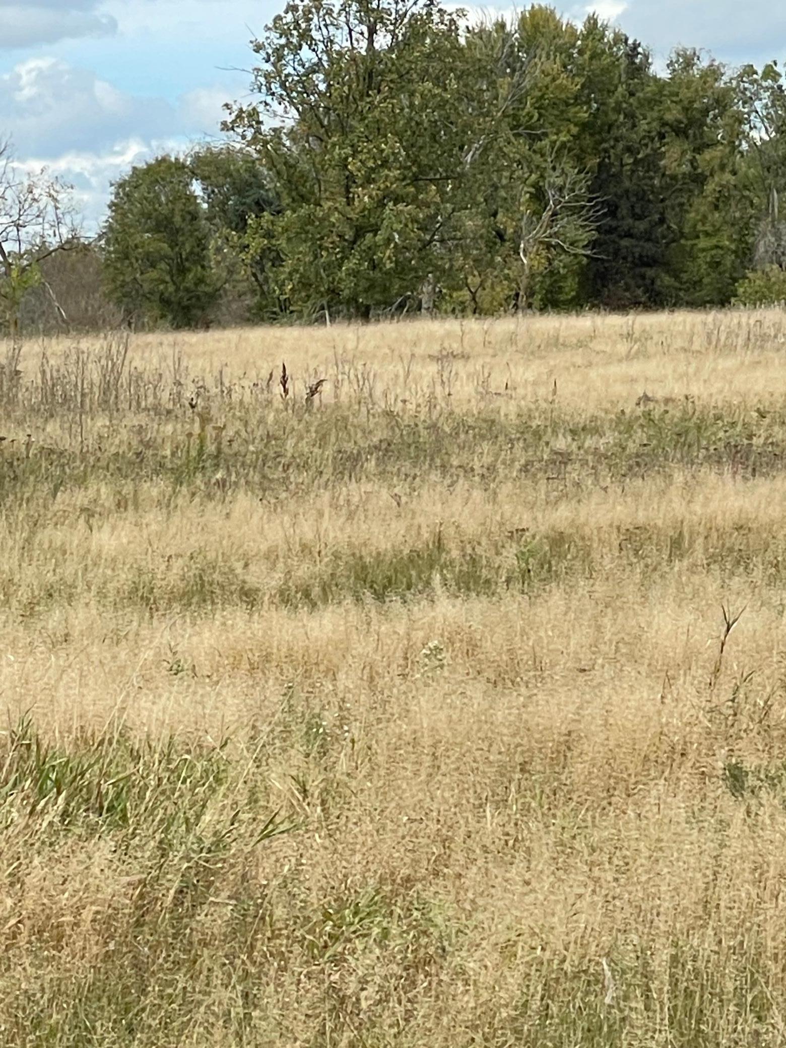 34101 83rd Avenue St. Joseph, MN 56374 - Photo 2 of 3