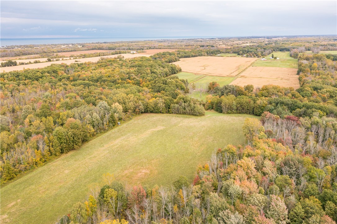 1384 Sawyer Road Carlton, NY 14477 - Photo 1 of 1 110 acres looking west to east. Sawyer Rd in the f