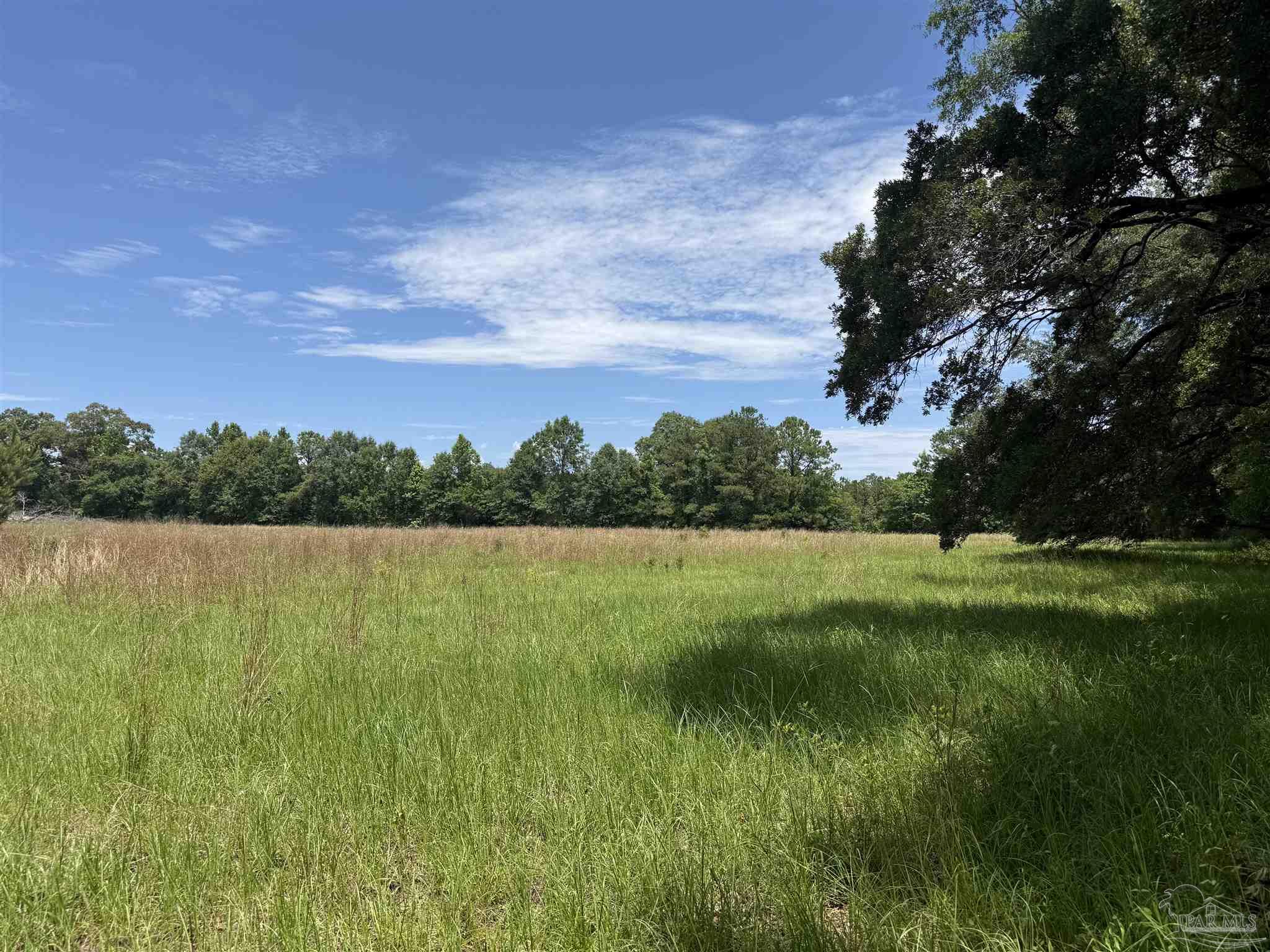 296 Salters Lake Road Century, FL 32535 - Photo 12 of 34