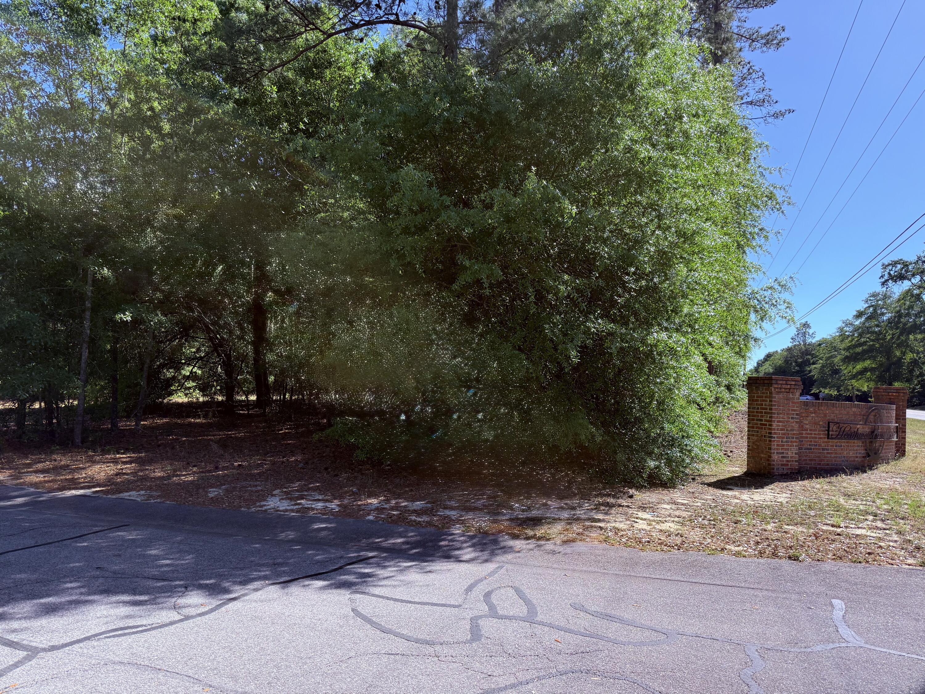 0 Deerwood Road, Unit LOT 10 Barnwell, SC 29812 - Photo 2 of 3