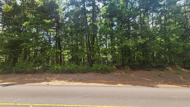 $29,900 | Tdb Atlanta Mira Road, Rodessa, LA 71069