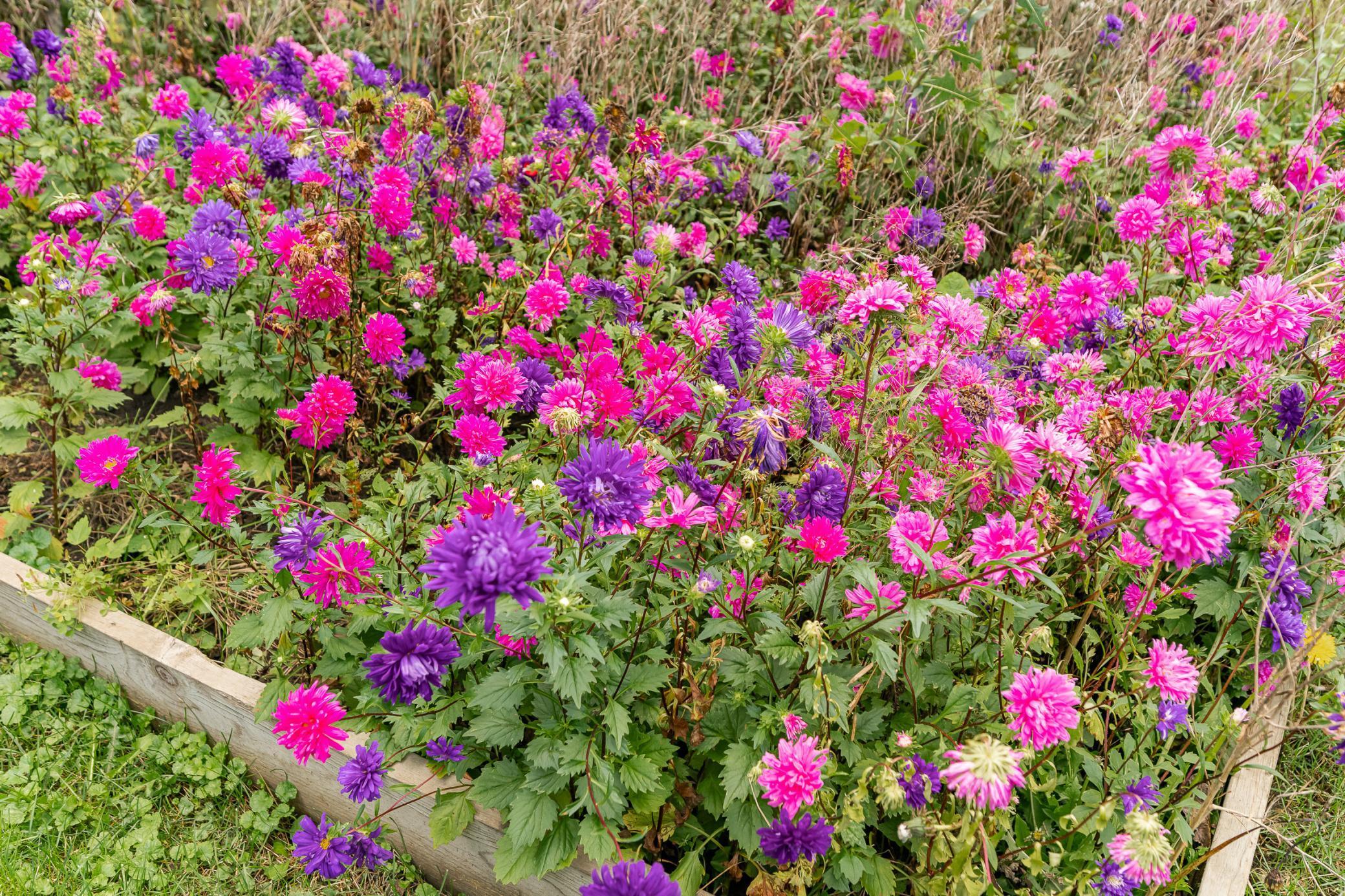 1916 9 1/2 Avenue Southeast Rochester, MN 55904 - Photo 5 of 32