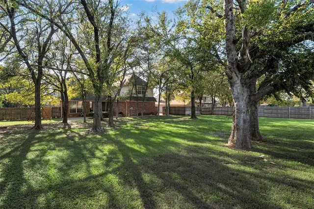 a view of outdoor space with deck and tree