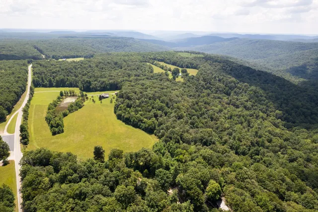 an aerial view of a residential houses with outdoor space and trees