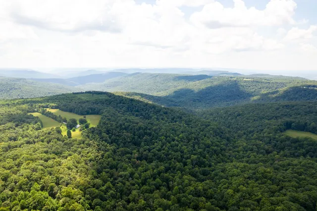 an aerial view of houses covered in trees