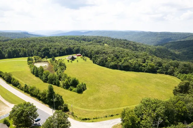 a view of a swimming pool with a yard and large trees