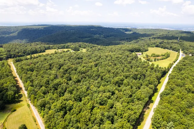 a view of a lake with a mountain