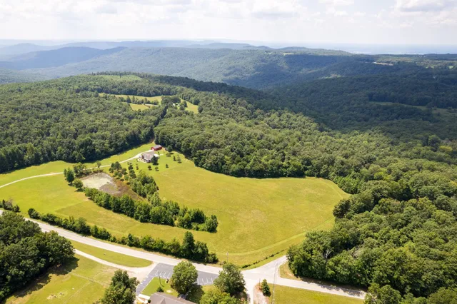 a view of a backyard with plants and lake view
