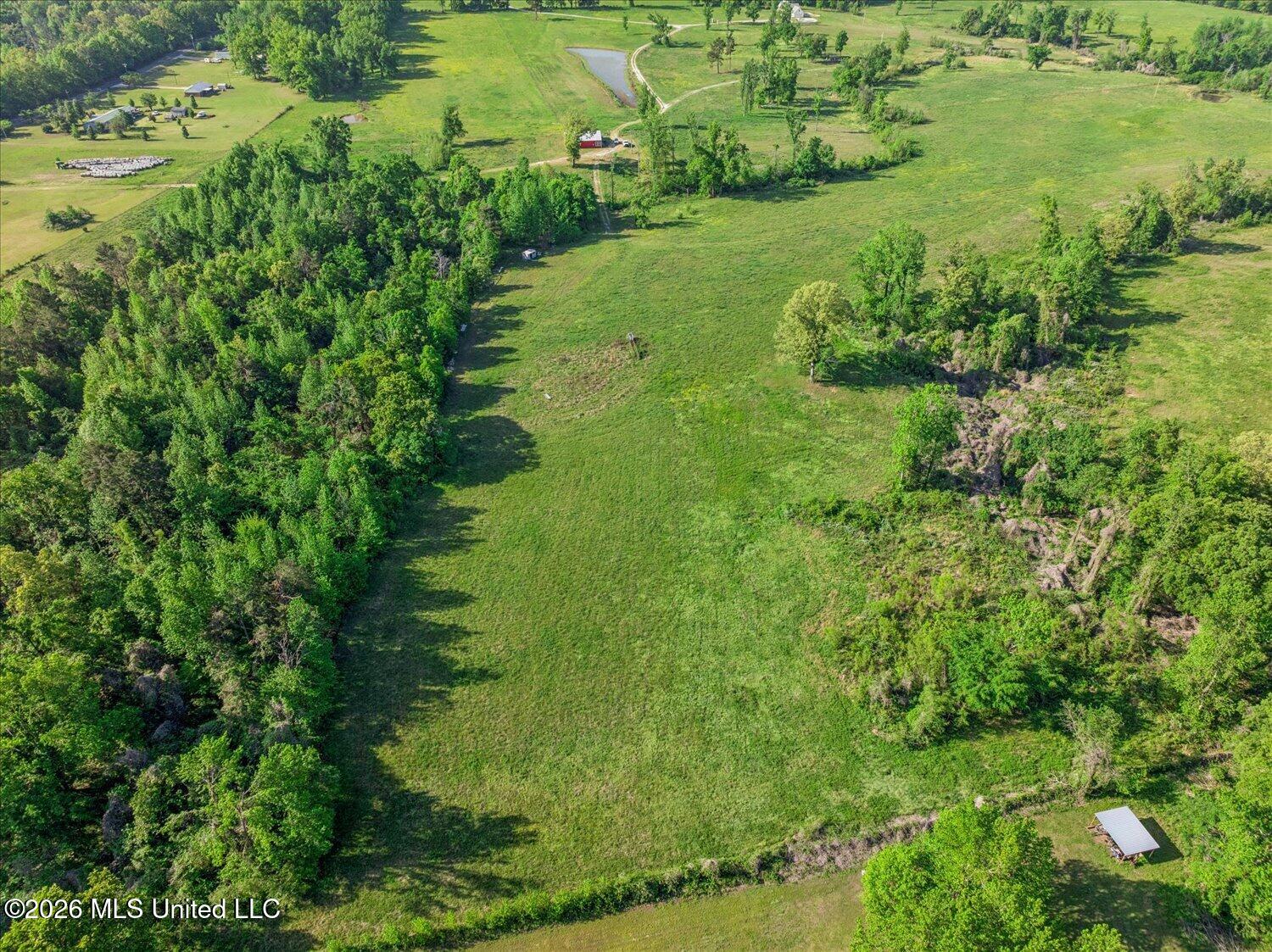 454 Laws Hill Road Holly Springs, MS 38635 - Photo 51 of 54 51-A2974503bt-17-722 Laws Hill Rd