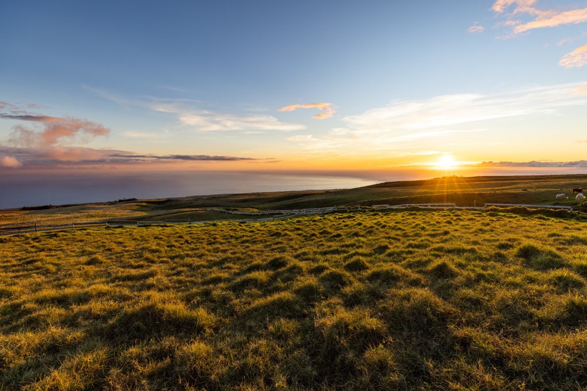 Kohala Ranch Road, Kamuela, HI 96743 Compass