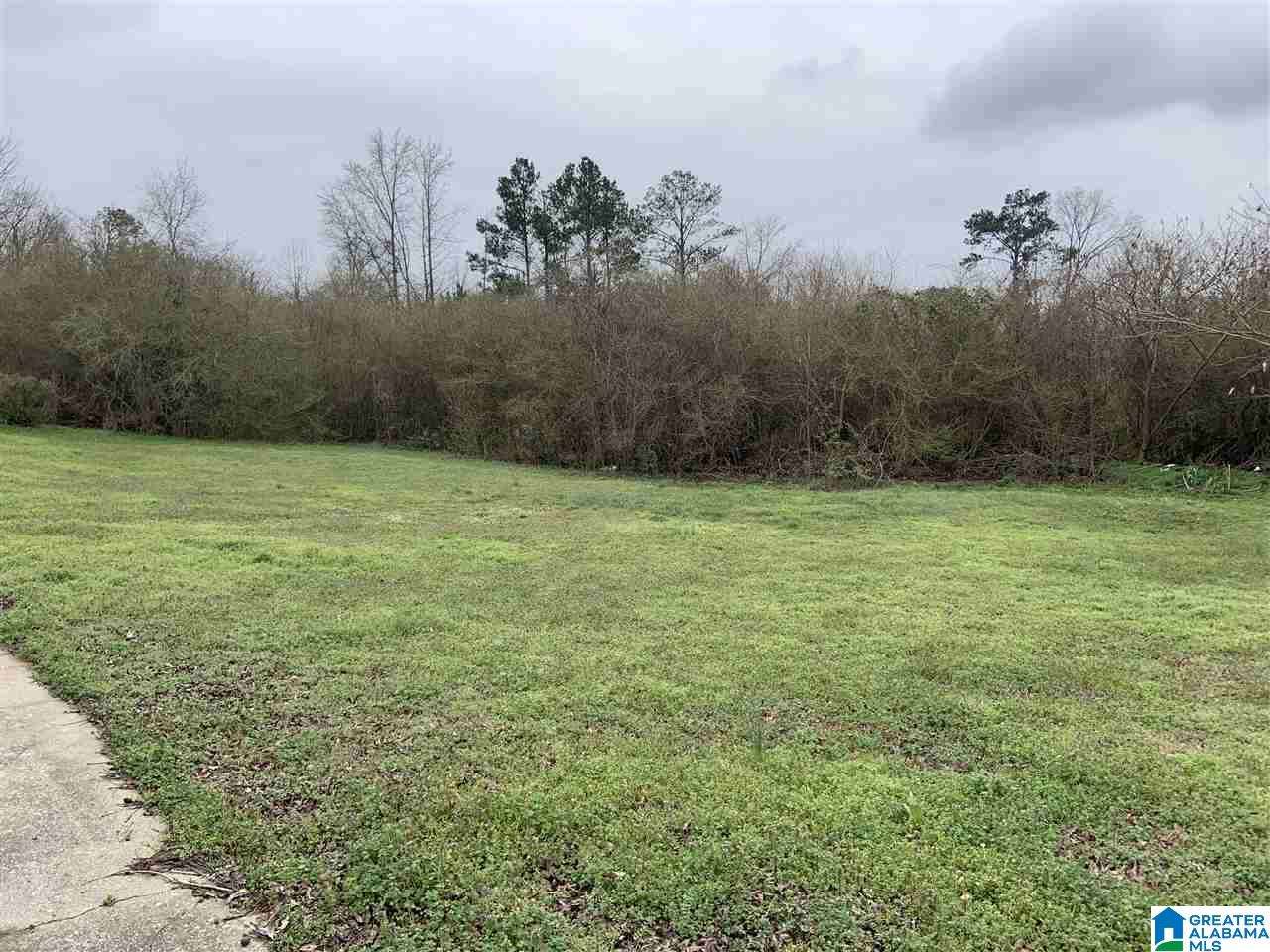 9218 Stouts Road Kimberly, AL 35091 - Photo 25 of 29