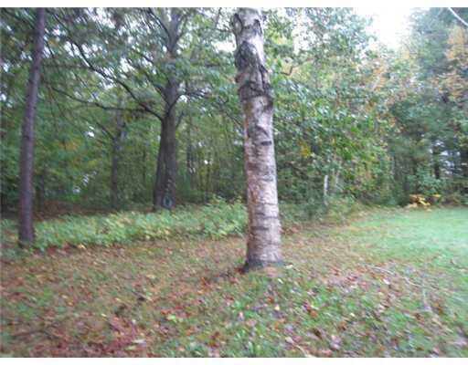 148 Golder Road Lewiston, ME 04240 - Photo 4 of 17 Yard/Garden.