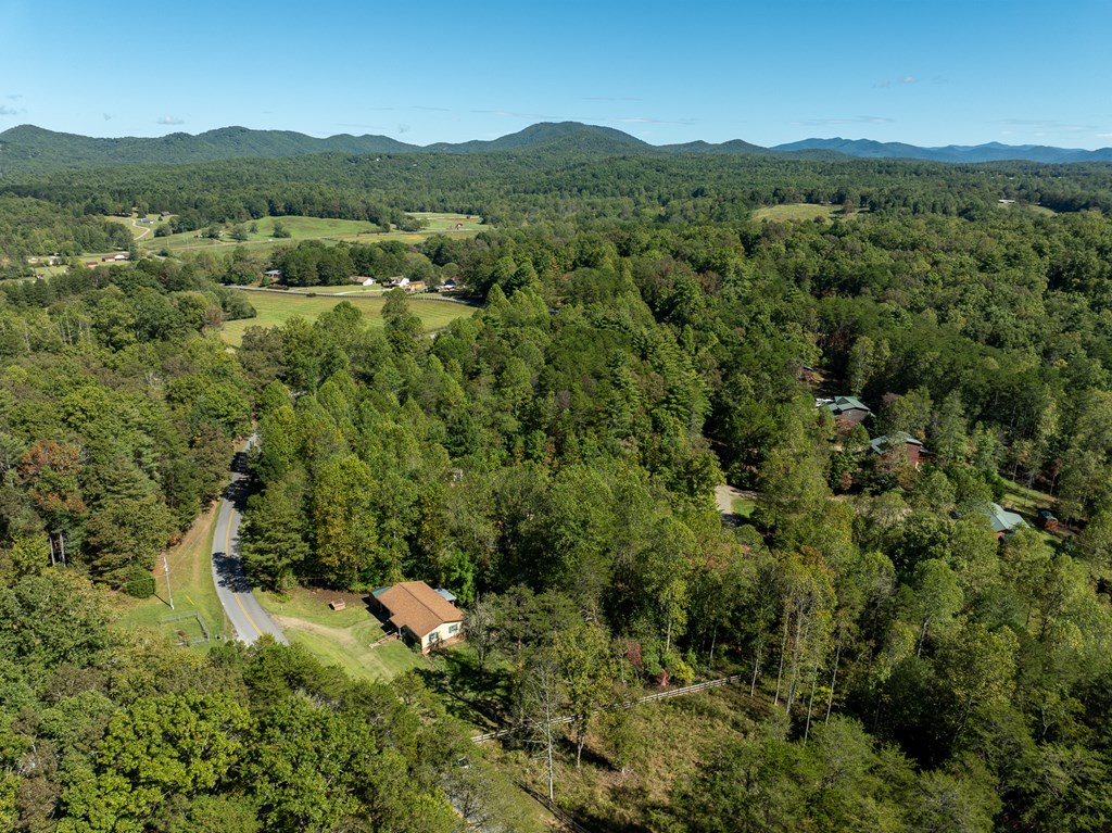 1813 John Smith Road East Blairsville, GA 30512 - Photo 38 of 41 a view of a lush green hillside and houses