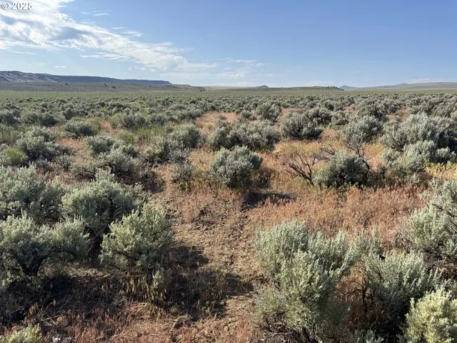 a view of city and mountain