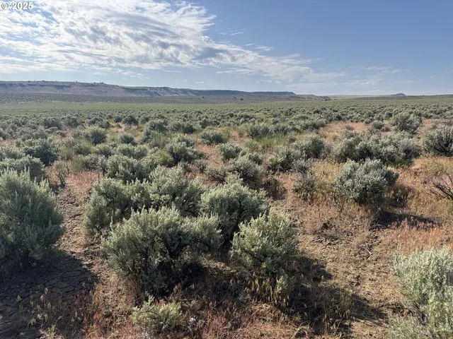 a view of a sky from a yard