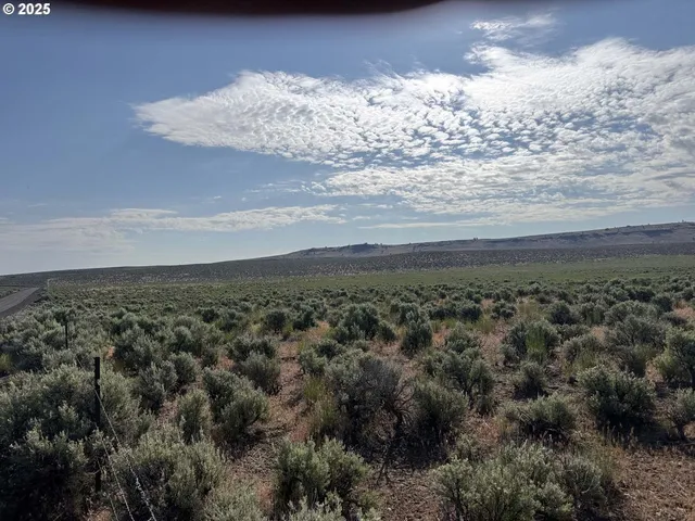 a view of a big yard