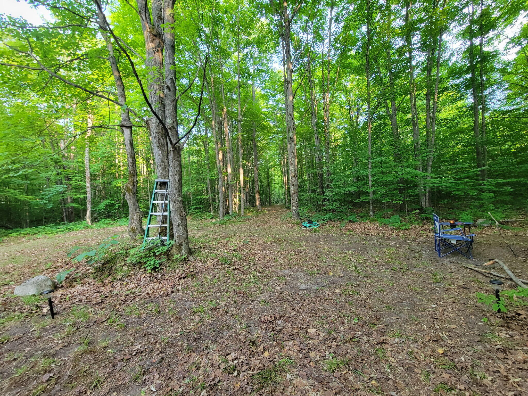 5-acres North Valley Road Frederic, MI 49733 - Photo 7 of 13 Camp Clearing