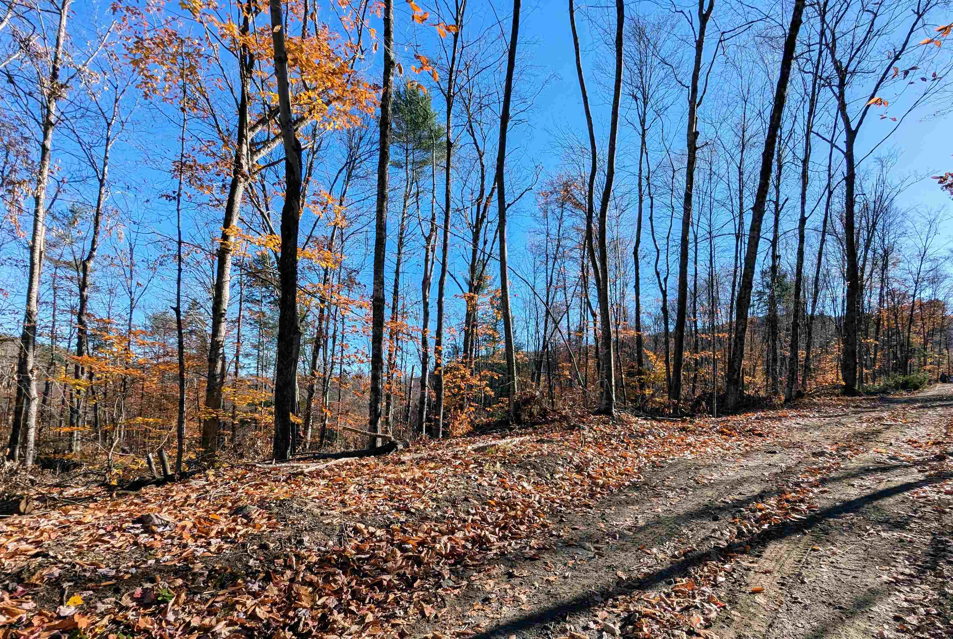 0 Dover Road South Newfane, VT 05351 - Photo 6 of 15