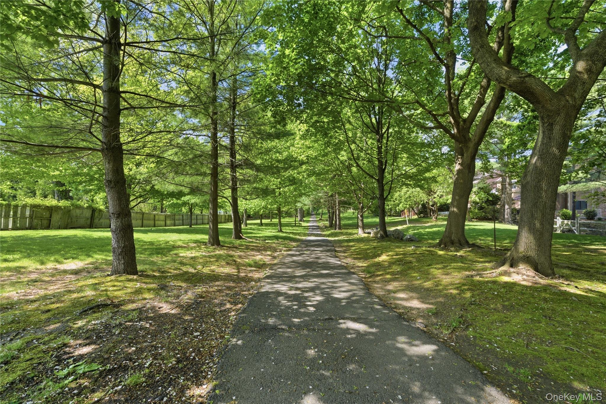245 Tree Top Crescent Rye Brook, NY 10573 - Photo 23 of 24 a view of a tree in a yard